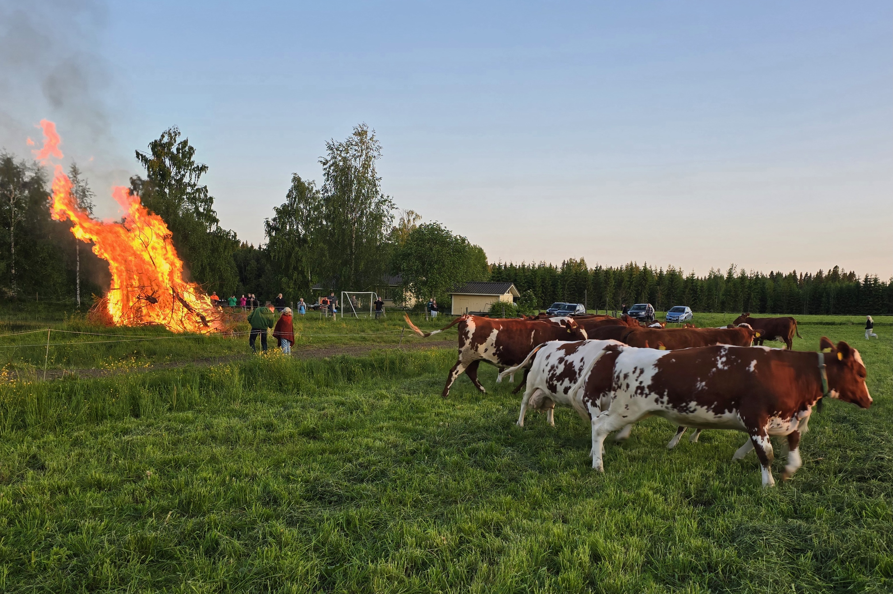 kuva: Hanna Mustonen 2025